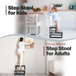 Heavy-Duty 2-Step Stool for Home Use