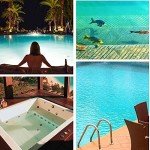 Mini Spa Chemical Dispenser for Hot Tubs & Pools