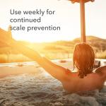 Leisure Time B Spa Stain & Scale Defender, 2lbs