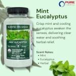 Mint Eucalyptus Aromatherapy Spa Shock Granules | Non-Chlorine Oxidizer for Spa & Hot Tub | Compatible with Bromine & Chlorine Tablets | Neutralizes Odors & Enhances Water Clarity, 2 lbs (Pack of 1)