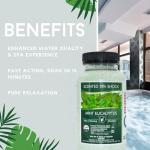 Mint Eucalyptus Aromatherapy Spa Shock Granules | Non-Chlorine Oxidizer for Spa & Hot Tub | Compatible with Bromine & Chlorine Tablets | Neutralizes Odors & Enhances Water Clarity, 2 lbs (Pack of 1)