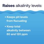 HTH Spa 86131 Alkalinity up, Spa & Hot Tub Chemical Raises Alkalinity, Stabilizes pH Fluctuation, 1.25 lbs