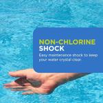 FROG Maintain for Hot Tubs - Non-Chlorine Shock for use with All Hot Tub FROG Sanitizing Systems - Single Dose Packets for Easy Hot Tub Maintenance & Treatment - 6 Pack