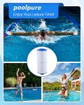 POOLPURE PLF6CH-960 Spa Filter Replaces PJW60TL-F2S, Jacuzzi Filters J-300, J400, Unicel 6CH-960, Filbur FC-2800, 6540-476, 6540-383, Hot Tub Filter with Closed Handle(Not be Removed) 2 Pack (14 7/8")