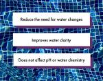 Hot Tub Enzymes - Quart for Clean Water