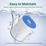 TOREAD NSF-50 Certified Watkins 31114 Replacement Tiger River Spa Filter, Compatible Unicel C-8465, PWK65, Filbur FC-3960, 71827, 71828 Hot Tub Filter, 65 sq. ft Hot Spring Spa Filter (2 Pack)