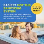 FROG @Ease Floating Hot Tub Sanitizer System