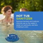 FROG @Ease Floating Hot Tub Sanitizer System