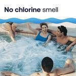 HTH Spa Non-Chlorine Shock Oxidizer, 2.25 lbs