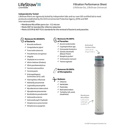 Teal LifeStraw Go Filter Bottle, 1L