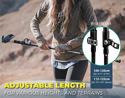 TREKOLOGY Trek-Z Collapsible Hiking & Trekking Poles - 2pc Set