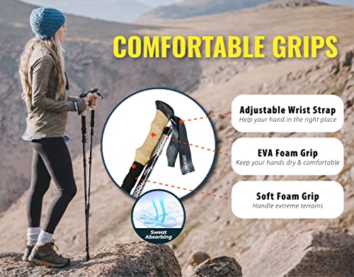TREKOLOGY Trek-Z Collapsible Hiking & Trekking Poles - 2pc Set