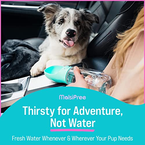 Portable Dog Water Bottle for On-the-Go Hydration