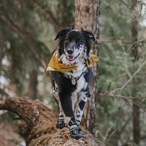 Large Dog Shoes for Winter & Summer Outdoor Activities