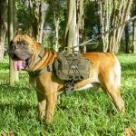 Dog Saddle Bag Backpack for Camping or Hiking