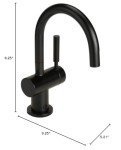Matte Black InSinkErator Hot/Cool Water Faucet