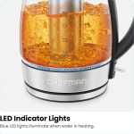 Electric Glass Kettle with Tea Infuser