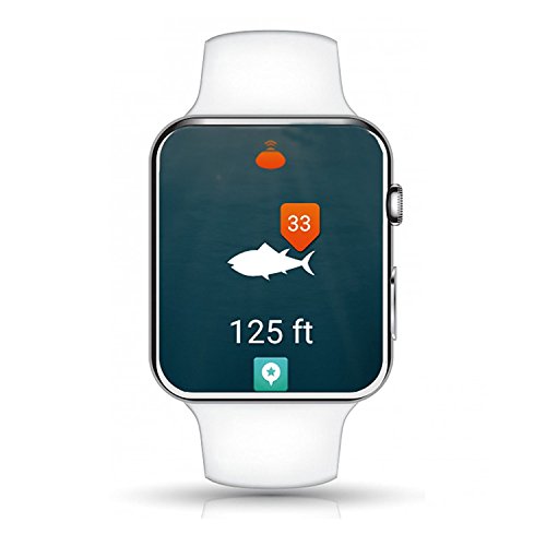 Portable Fish Finder: Accurate Depth Range 135ft