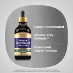 Piping Rock Echinacea Drops | 4 fl oz | Liquid Extract Tincture | Premium Botanical Herb | Vegetarian Supplement | Alcohol Free, Non-GMO, Gluten Free