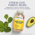 SOLARAY Mega Vitamin B-Stress - Timed Release Vitamin B Complex w/Vitamin B12, B6, Folic Acid, VIT. C - Stress, Energy, Red Blood Cell, Immune Support - Vegan, 60-Day Guarantee (276 CT)
