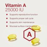 PROTOCOL FOR LIFE BALANCE Vitamin A 25,000 IU - Eye, Retina, and Immune Health - 100 Softgels