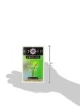 Stash Premium Green Tea, 20 ct