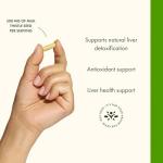 Swanson Milk Thistle (Standardized) - Herbal Liver Support Supplement w/ 80% Silymarin - Natural Formula Helping to Maintain Overall Health & Wellbeing - (120 Capsules)