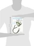 Homeopathic Remedies: For Health Professionals and Laypeople