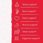 Garden of Life Magnesium Citrate Supplement Gummies with Prebiotics & Probiotics for Stress, Sleep & Recovery - Vegan, Gluten Free, Kosher, Non-GMO, No Added Sugars, Raspberry Flavor, 60 Count