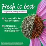 A.Vogel Echinaforce Echinacea Tablets - 120 Tabs