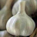 GARLIC BULB (7 Pack), FRESH CALIFORNIA SOFTNECK GARLIC BULB FOR PLANTING AND GROWING YOUR OWN GARLIC OR GREAT FOR EATING AND COOKING