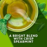 TAZO Organic Zen Green Tea, Caffeinated Tea with Refreshing Lemongrass & Spearmint, 36 Total Bags