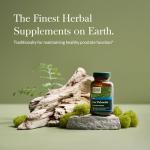 Gaia Herbs Saw Palmetto - Supports Healthy Prostate Function for Men - Contains Saw Palmetto and Sunflower Seed Lecithin to Support Men’s Health - 60 Vegan Liquid Phyto-Capsules (30-Day Supply)