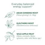 Traditional Medicinals Tea, Organic Stress Ease Focus, with Adaptogens, Everyday Balanced Energy, Ginseng Wild Apple Mint, 16 Tea Bags