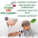 Iron Supplements for Kids | 10mg | with Vitamin C | Great Tasting Iron Gummies for Kids | Vegan Non GMO Kids Iron | for Immune Health and Iron Deficiency | 90 Gummies | Lifeable