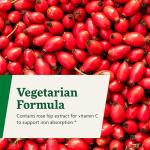 Floradix by Salus Iron & Herbs - Liquid Herbal Supplement for Energy Support* - Iron Supplement with Vitamin C & B Complex Vitamins - for Men & Women - 8.5 Fl Oz