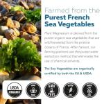 Organic Whole Food Magnesium Supplement - Plant-Based, Organic Sea Vegetable Complex - 250 mg Per Serving | Water Extracted | Gentle on Stomach | Supports Energy, Sleep, Muscle, Heart - 60 Capsules