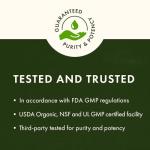 Swanson Siliphos Milk Thistle Phytosome 300 Milligrams 60 Capsules