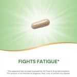 Nature's Way, Premium Herbal Asian Ginseng, Fights Fatigue*, 60 Capsules