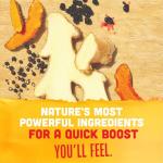 Vive Organic Elderberry Immunity Boost Wellness Shot, 2 fz