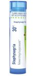 Boiron Staphysagria 30C Homeopathic Medicine for Surgical Wounds - 80 Pellets