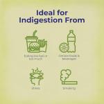 Boiron Acidil for Relief of Acid Reflux, Heartburn, Indigestion, and Upset Stomach - 60 Count