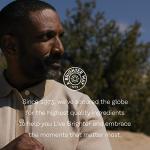 SOLARAY Milk Thistle Seed Extract 350 mg Guaranteed to Contain 80% Silymarin, Traditional Liver Support, Vegan & Lab Verified for Quality, 60 Day Money-Back Guarantee, 30 Servings, 30 VegCaps