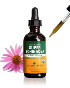 Herb Pharm Certified Organic Super Echinacea Liquid Extract Drops for Active Immune System Support, 2 Oz