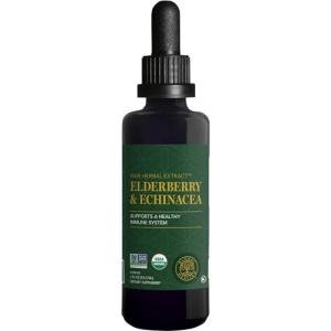 Global Healing Center USDA Organic Elderberry & Echinacea Liquid Supplement Tincture | Antioxidant Immune Support Against Harmful Organisms for Adults and Kids, Vegan, Non-GMO, 2-Month Supply (2 Oz)