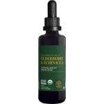 Global Healing Center USDA Organic Elderberry & Echinacea Liquid Supplement Tincture | Antioxidant Immune Support Against Harmful Organisms for Adults and Kids, Vegan, Non-GMO, 2-Month Supply (2 Oz)