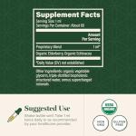 Global Healing Center USDA Organic Elderberry & Echinacea Liquid Supplement Tincture | Antioxidant Immune Support Against Harmful Organisms for Adults and Kids, Vegan, Non-GMO, 2-Month Supply (2 Oz)