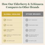 Global Healing Center USDA Organic Elderberry & Echinacea Liquid Supplement Tincture | Antioxidant Immune Support Against Harmful Organisms for Adults and Kids, Vegan, Non-GMO, 2-Month Supply (2 Oz)