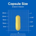 Nutricost High Potency Vitamin B Complex 462mg, 120 Capsules - with Vitamin C - Energy Complex