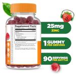 Lifeable Zinc for Kids | 25mg | Great Tasting Natural Flavored Zinc Gummies | Gluten Free Vegetarian Non GMO Zinc Supplements | Kids Zinc for Immune Support | 90 Gummies